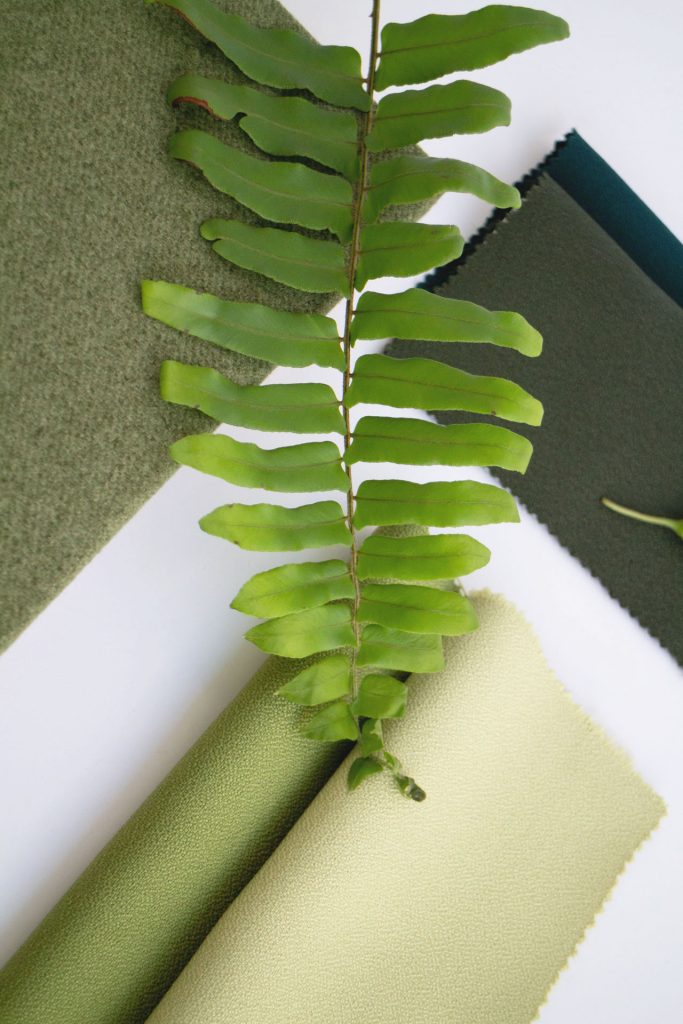 A green fern leaf lies across samples of fabric in various shades of green, displayed on a white surface. The fabrics have different textures and tones, ranging from light to dark green.