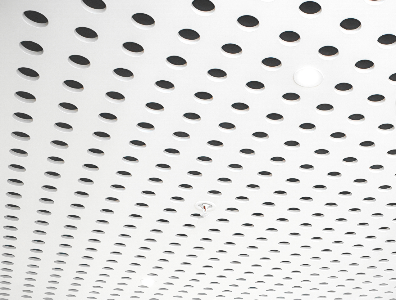 A white ceiling with a grid of evenly spaced circular holes and a small red fire sprinkler in the center.