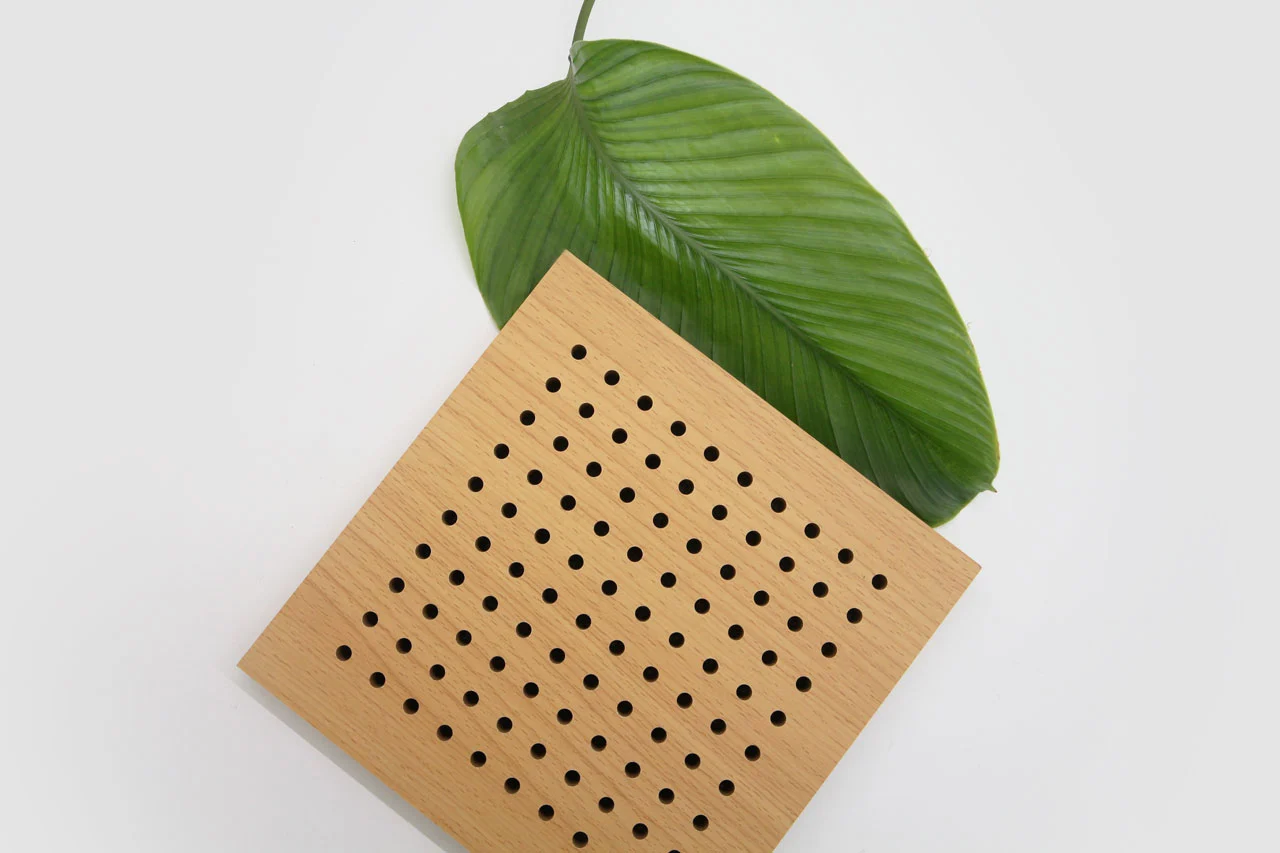 A large green leaf is partially covered by a square wooden board with evenly spaced small round holes, all set against a plain white background.
