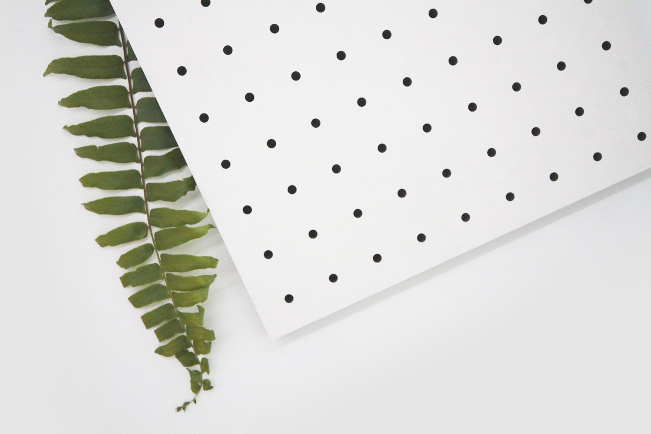 A green fern leaf is partially covered by a white sheet of paper with evenly spaced black polka dots, set against a plain white background.