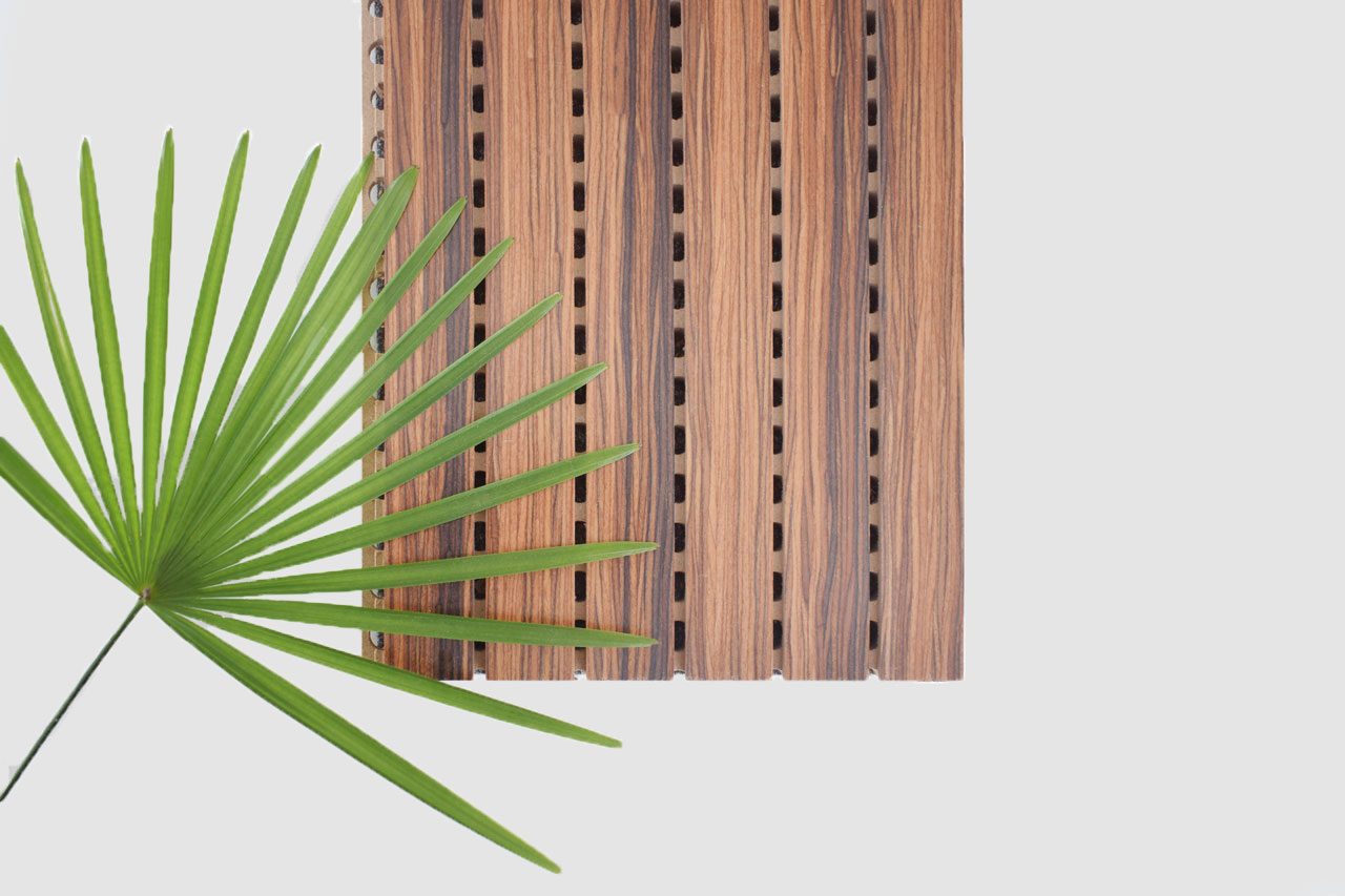 A fan-shaped green palm leaf positioned on the left side next to vertical wooden slats with evenly spaced rectangular cutouts, set against a plain white background.