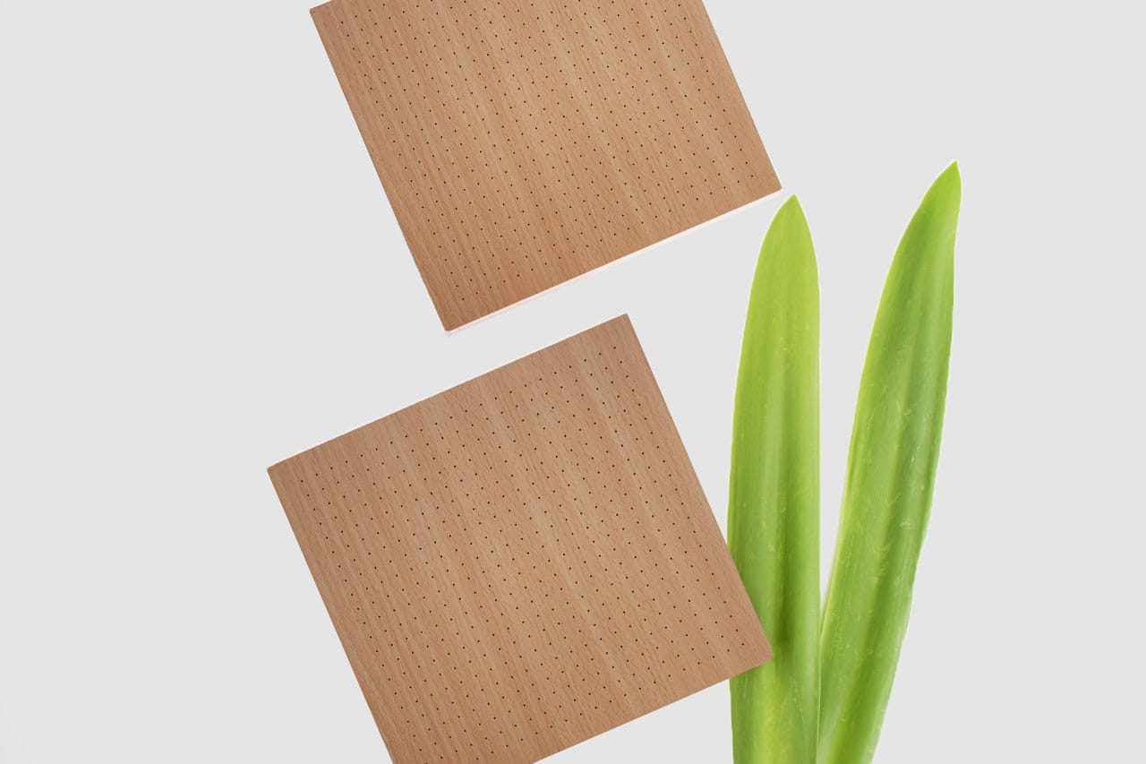 Two brown, square adhesive patches with small perforations beside two long, green leaves on a white background.