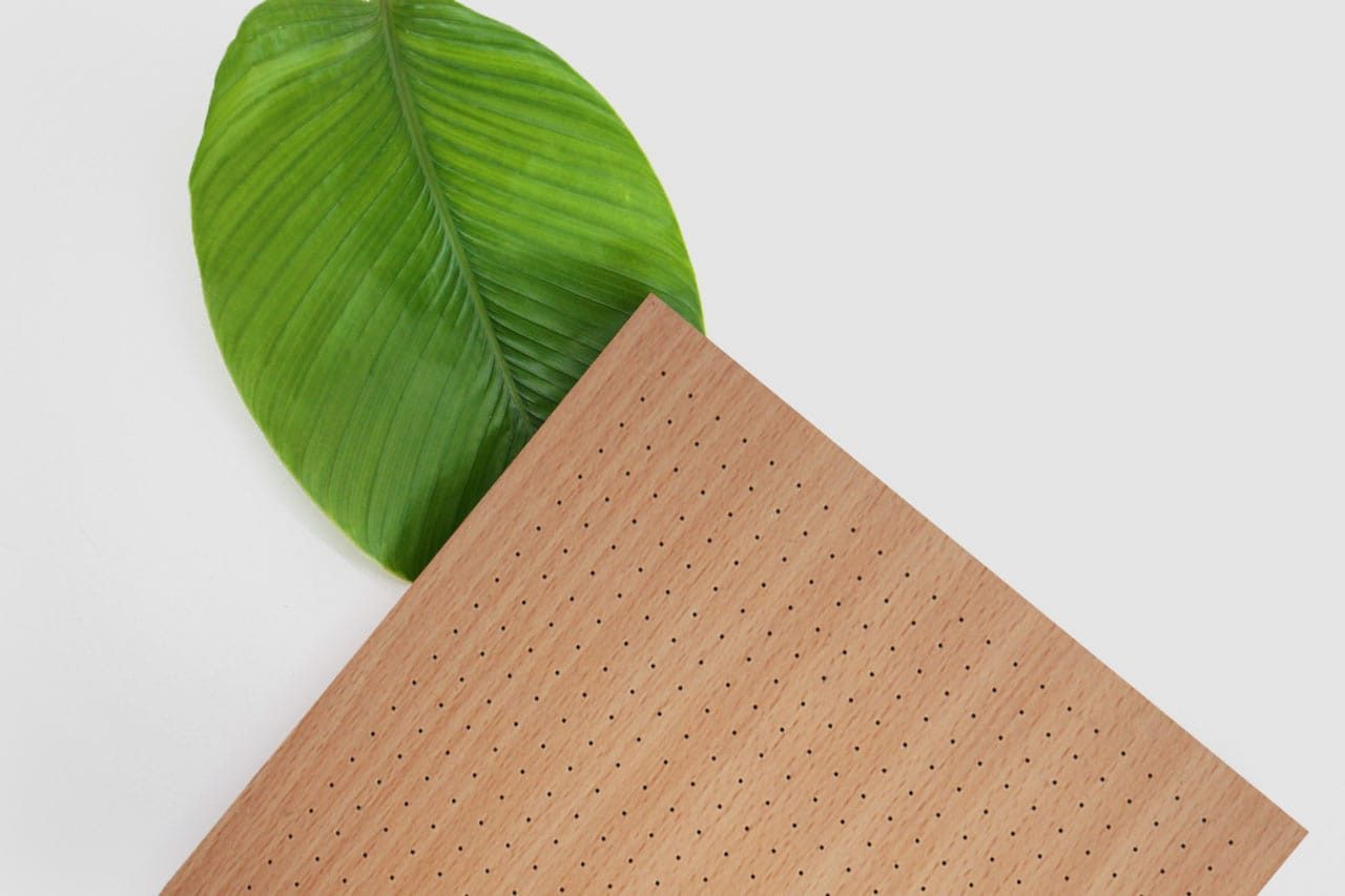 A large green leaf lies partially under a perforated wooden board set on a white background.