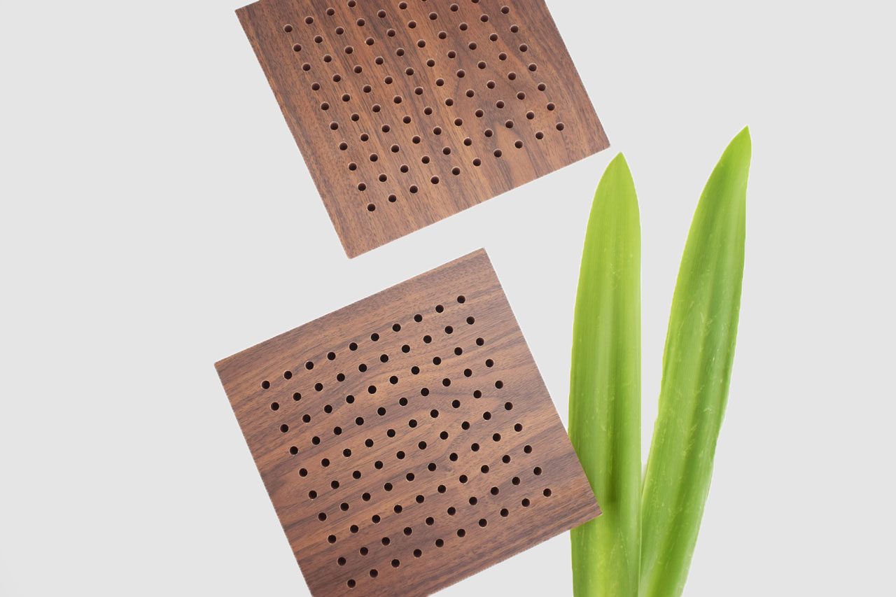 Two square wooden objects with evenly spaced holes are placed above two upright green leaves on a white background.