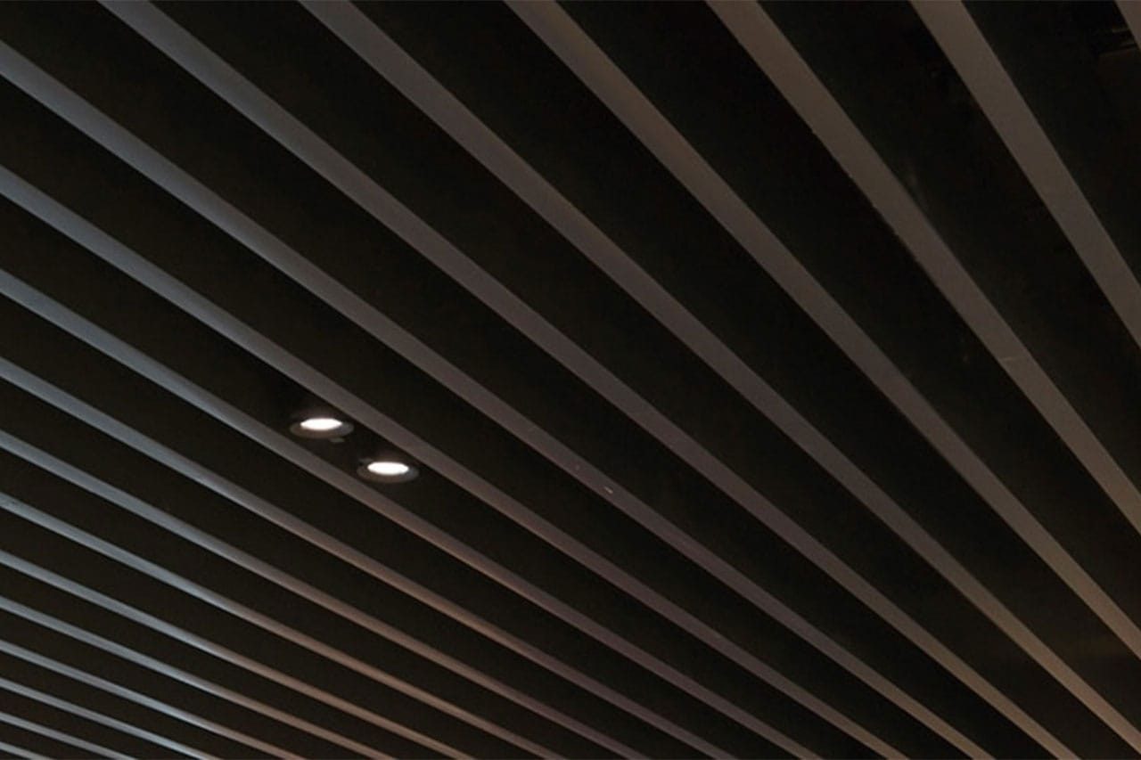 A ceiling with evenly spaced, parallel dark slats and two small round recessed lights turned on, creating a modern, geometric pattern.